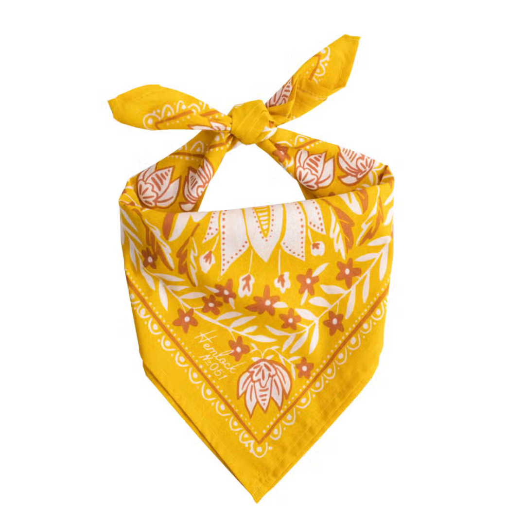 Paisley Prairie Bandana